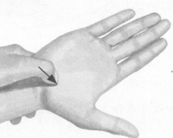 前列腺疾病按摩部位图解