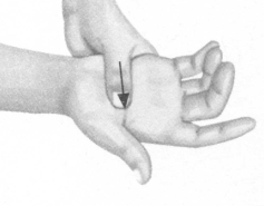 性冷淡按摩部位图解