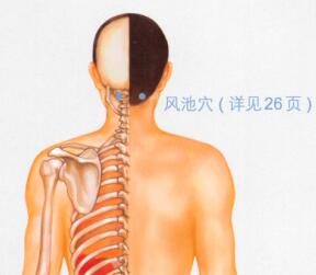 咽喉肿痛按摩部位图解