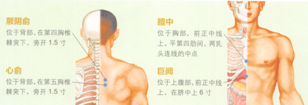 心律失常艾灸哪个部位图解
