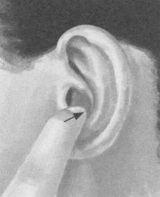 痛经按摩部位图解