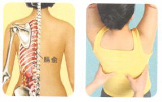 腰背痛按摩部位图解