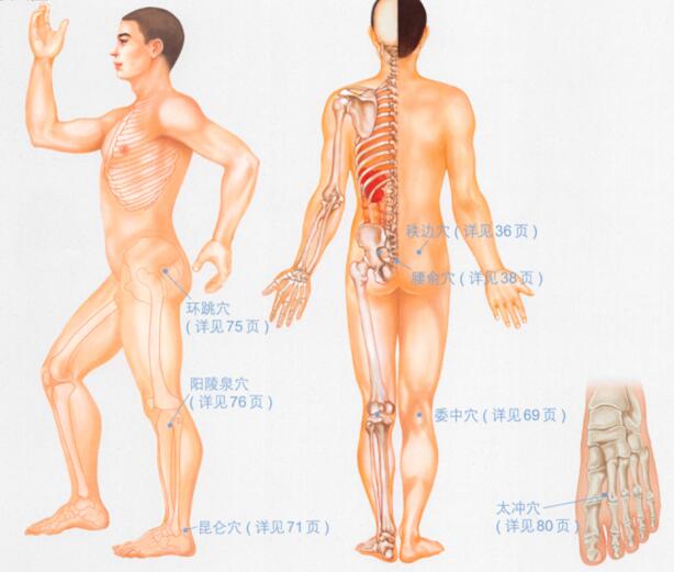 坐骨神经痛按摩部位图解