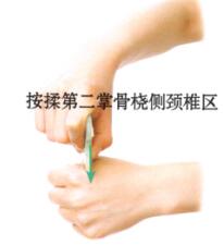 颈椎病刮痧部位图解