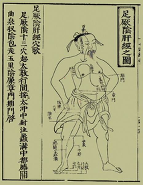 《十四经发挥》经穴图