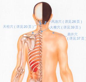 颈椎病按摩部位图解