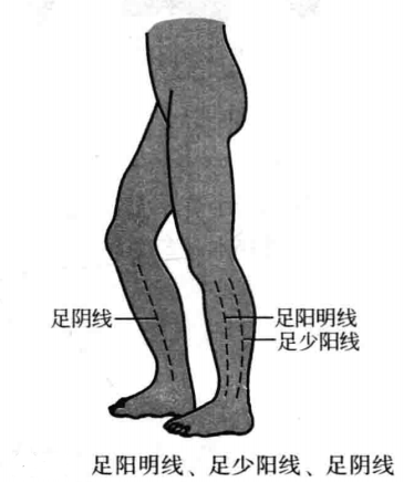 飞针技术胫区刺激线