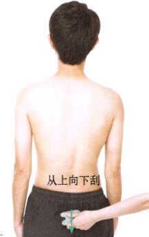 肾虚型阳痿-早泄刮痧部位图解