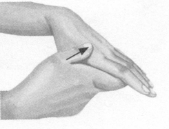 性冷淡按摩部位图解