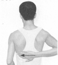 便秘按摩部位图解