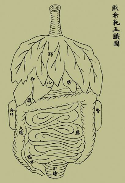 《循经考穴编》欧希范五脏图