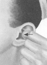 肥胖症按摩部位图解