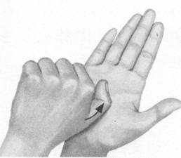 胃肠炎按摩部位图解