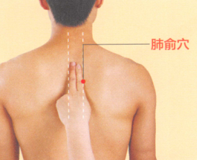 肺心病艾灸哪个部位图解