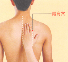 肺心病艾灸哪个部位图解