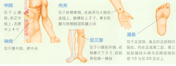 呕吐艾灸哪个部位图解