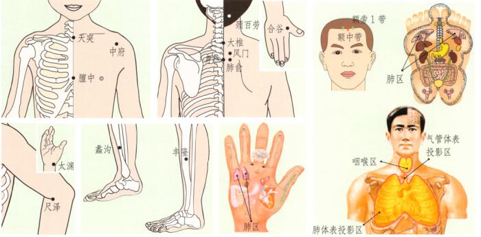 百日咳刮痧部位图解