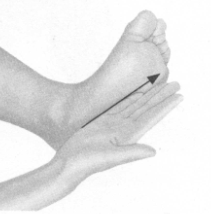 更年期综合征按摩部位图解