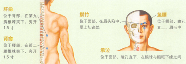 老年性白内障艾灸哪个部位图解