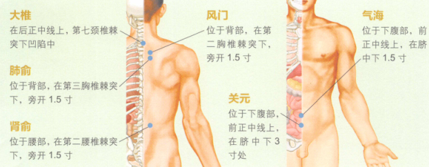 中老年保健艾灸哪个部位图解