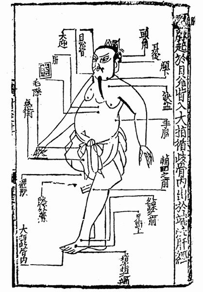 《子午流注针经》十二脉图