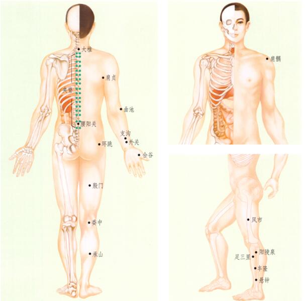 中风后遗症刮痧部位图解