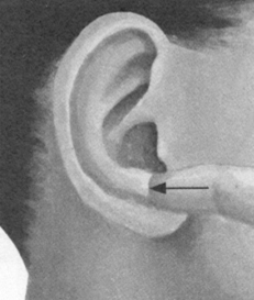 美容美体按摩部位图解