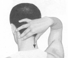 颈背痛按摩部位图解