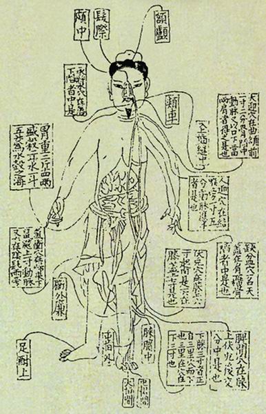 《活人书》经络图