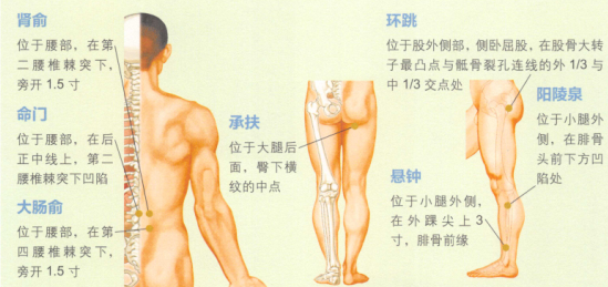 坐骨神经痛艾灸哪个部位图解