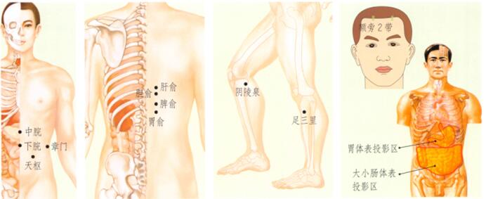 食欲不振刮痧部位图解