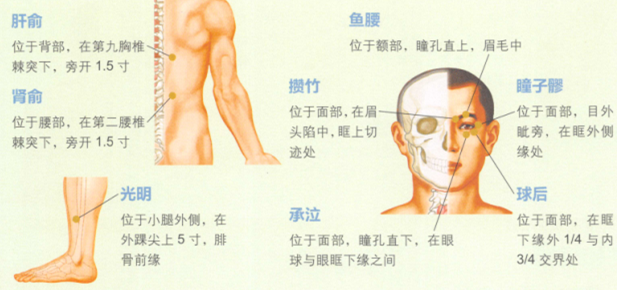 假性近视艾灸哪个部位图解