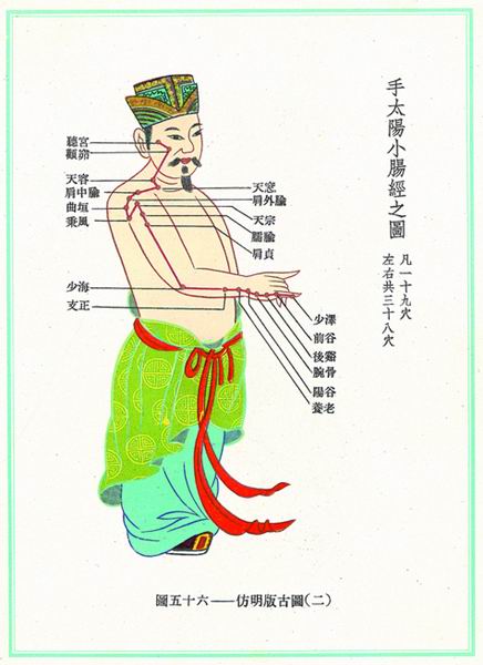 《新针灸学》经穴图