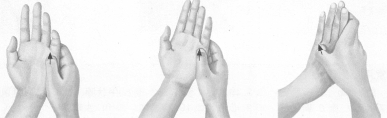 阳痿按摩部位图解