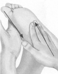 美容美体按摩部位图解