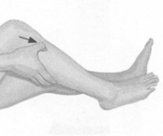 便秘按摩部位图解