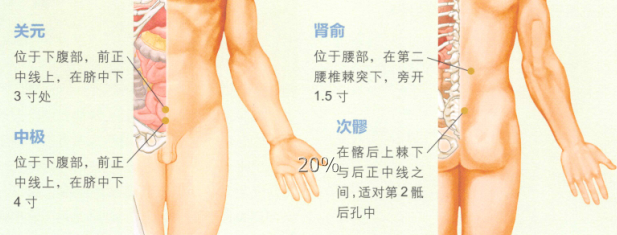 慢性盆腔炎艾灸哪个部位图解