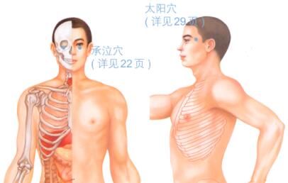 缓解疲劳按摩部位图解