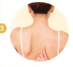 阳虚体质艾灸哪个部位图解