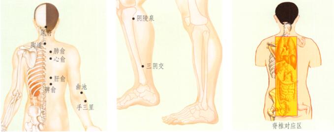 湿疹刮痧部位图解