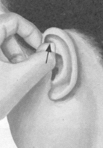 胃肠炎按摩部位图解