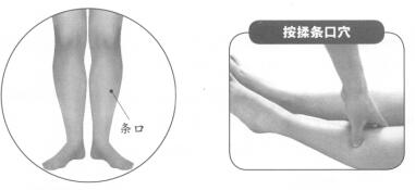 肩周炎按摩部位图解