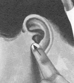 咽喉炎按摩部位图解