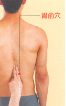 胃下垂艾灸哪个部位图解
