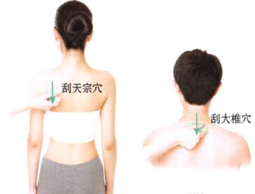 心悸刮痧部位图解