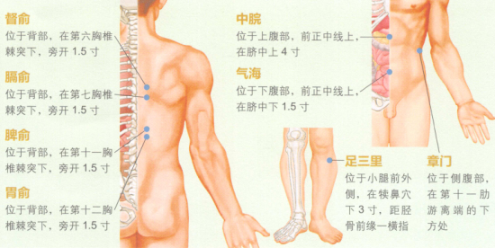 慢性胃炎艾灸哪个部位图解