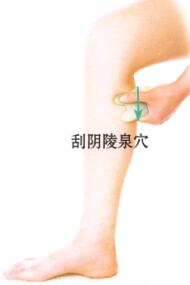 带下病(盆腔炎)刮痧部位图解