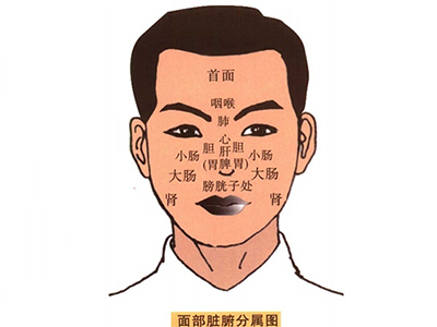 面色变化提示脏腑健康，该如何调理气色？