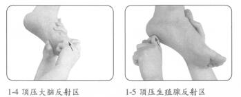 失眠按摩部位图解