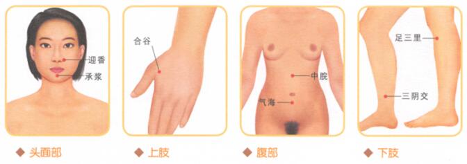 脸部细纹按摩部位图解